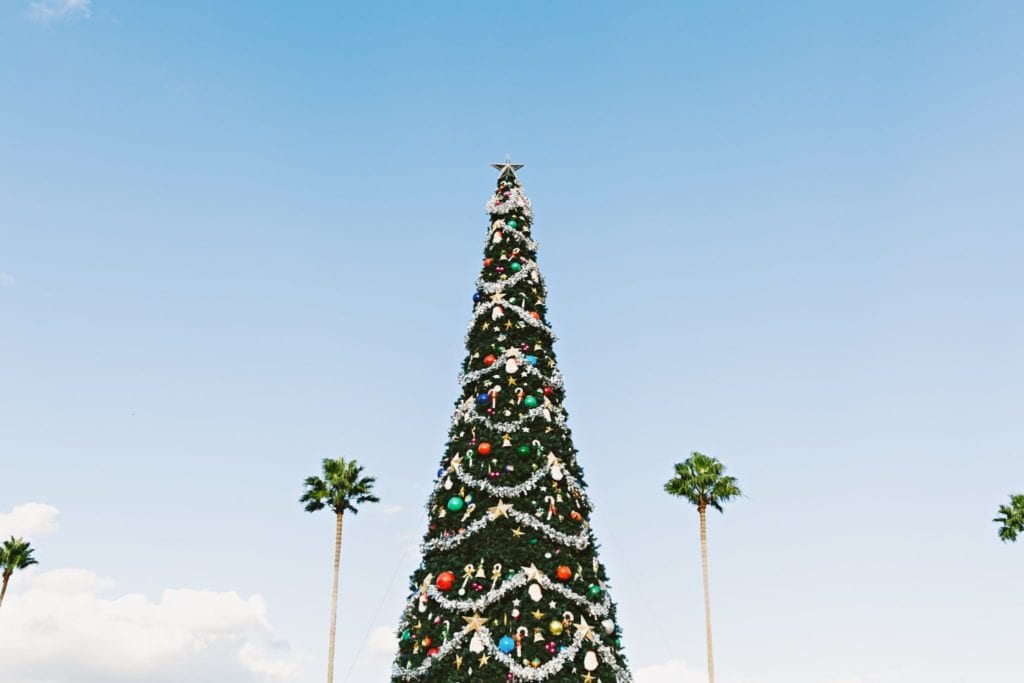 Christmas tree with palm trees in the background